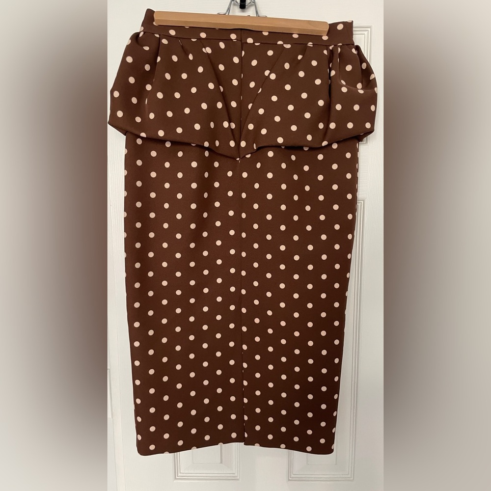 ZARA Brown Polka Dot Skirt